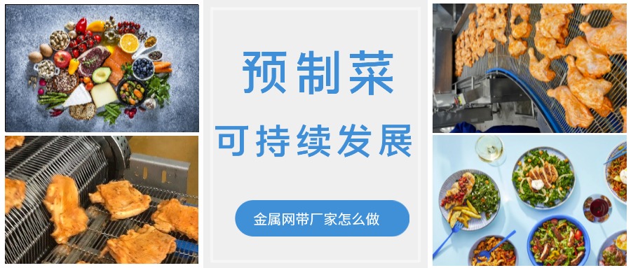 金屬輸送網(wǎng)帶的領(lǐng)頭企業(yè)，預(yù)制菜的可持續(xù)發(fā)展中能做什么？
